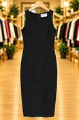 Babaton Black Sleeveless Fitted Dress — Size 2