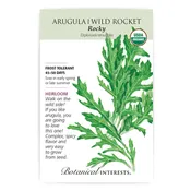 Arugula 'Wild Rocket'
