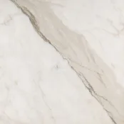 Calacatta Crèmo Marble