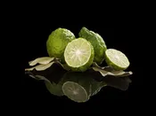 Bergamot Soy Candle