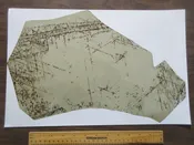 GIANT MUSCOVITE MICA SHEET