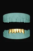 6 Teeth Grillz