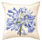 Agapanthus