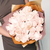 24 Blush Roses