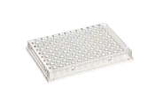 0.1ml 96-Well PCR Plate, Skirted,  Low-Profile, Clear