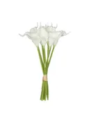 9Pcs/Bunch Calalily | White