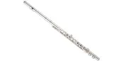 Folks Middle School - 01 Beginner Flute Package
