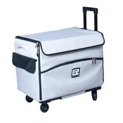 21" EZ-Glide Trolley Gray/Black