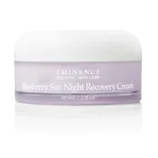 Blueberry Soy Night Recovery Cream — Label Me Lindsay