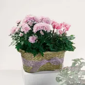 Blooming Duo