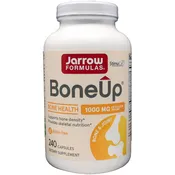 Bone-up | Superior Skeletal Support