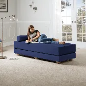 Adult Artemis Complete Daybed Queen Size Convertible Sleeper (Multiple Colors)