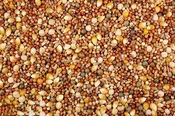 12% Pigeon Feed (Leach Grain & Milling) - Premium Pigeon Feed