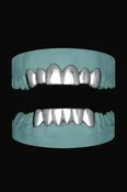 12 Teeth Grillz