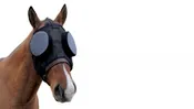 Equine Mask – Small