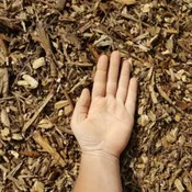 Ground Wood Chips