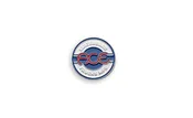 Ace Seal Lapel Pin 1”
