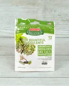 Jobe's Cacti and Succulent Fertilizer Spikes