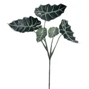 Alocasia Leaf Spray Green 32"