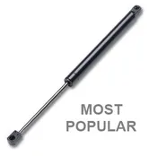 10″ Gas Closer