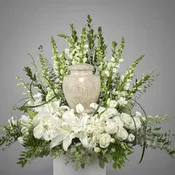 All white tribute