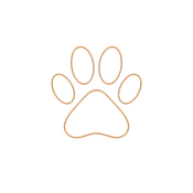 Bark & Beyond — Just Paws Training