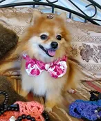 Pink Crocheted Collar with Lava Heart Diffuser