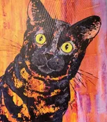 16 x 20 Canvas Print by Karen Juno