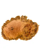 Australian Coolibah Burl Cap/Bowl Blank - 17" x 11" x 4" WE608