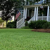 EMPIRE® Zoysia