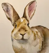 [10 Weeks Starting Sept 10] Watercolor with Sandra St. Amour / Thursdays 6-8pm