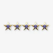 Emergency Medical Services Five Star Rank Insignia - Pair