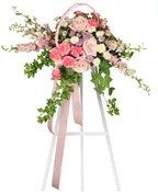 DELICATE PINK SPRAY