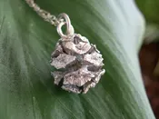 Silver Redwood Tree Seed — Treasures Fine Jewelry