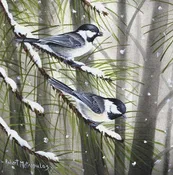 "Black-Capped Chickadees"