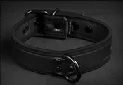 Basic Neoprene Collar