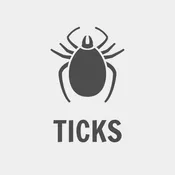 Tick Intensive