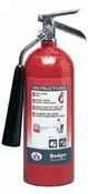 Badger Extra Carbon Dioxide Self-Expelling Fire Extinguisher