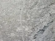 Absolute White Granite