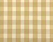 2603-4 Paris Check Green