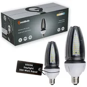 300w EQUIVALENT - 30 WATT NON-DIMMABLE LED ACORN - 84 CRI - PLATINUM PURE WHITE - 4200 LUMENS - 5000 KELVIN - ROUGH SERVICE - 50,000 HOURS & 5 YEAR