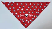 Beau Bandana – triangle