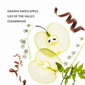 Applelicious Power Mist Hydrating Hand Sanitizer