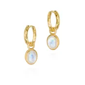 Sterling Silver Moonstone Drop Earrings with 18K Gold Vermeil