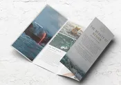 Double Parallel Fold Brochures