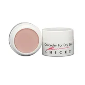 Concealer For Dry Skin Light Ivory #2