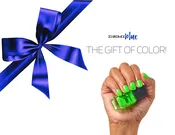 DEMIblue eGIFT CARD