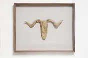 #17 - Driftwood Hunting Trophy #3 (All Around You, 2024) by Mitsuru Koga