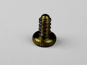 Shubb 5th-String Capo Adjustment Screw Brass (Pack of 2)
