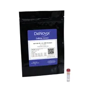 Propidium Iodide Cell Viability Assay